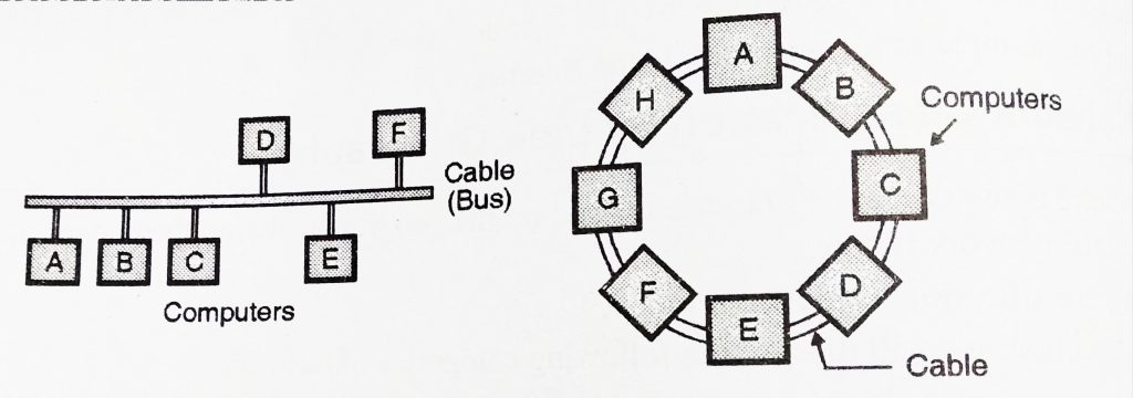 Wide Area network(wan),Local Area Network(lan), Metropolitan Area Network(man), Personal Area Network(pan) and Campus Area Network(can)