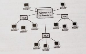 Computer Network - Network Topology Types (Bus , Star , Mesh , Tree , Ring and Hybrid)