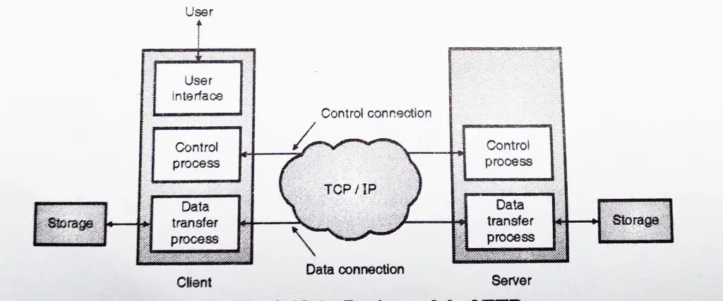 Computer Network - Peer to Peer Network And Client Server Technology (Computer Server based Network)