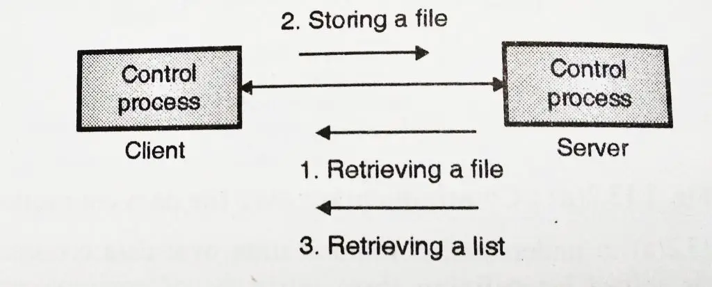 Computer Network - Peer to Peer Network And Client Server Technology (Computer Server based Network)