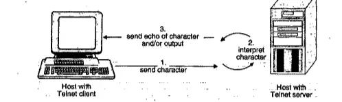 Application Layer - Telnet , P2P file sharing and Rlogin (Remote Login)