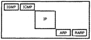 Network Layer - Address Resolution Protocol (ARP)