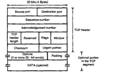 Transport Layer - TCP IP Ports , Segment Header and Connections