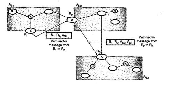 Network Layer - Border Gateway Protocol (BGP)