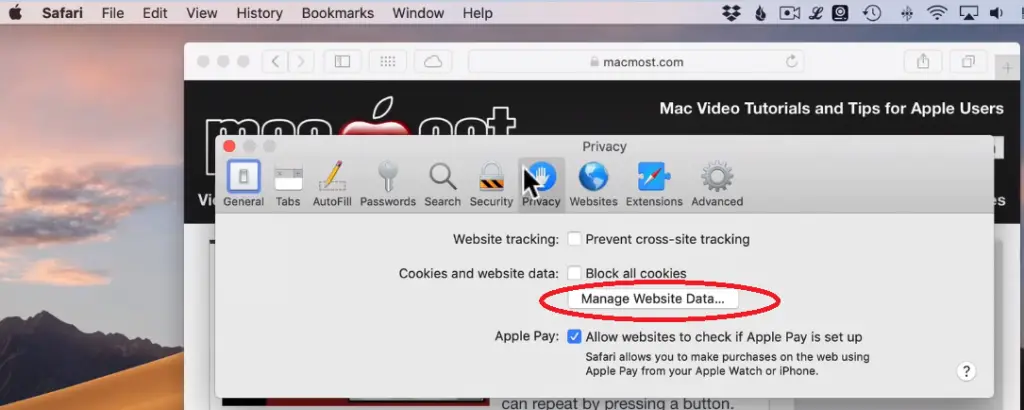 How To Clear Cookies And Cache On Safari