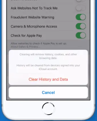 How To Clear Cache On Safari Quickly ? (Steps To Clear Browsing History And Cookies On Mac OS , iPad And iPhone !!)