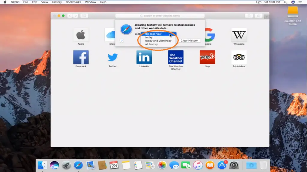 How To Clear Cache On Safari Quickly ? (Steps To Clear Browsing History And Cookies On Mac OS , iPad And iPhone !!)