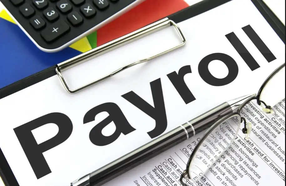 what-is-a-payroll-processing-software-payroll-processing-companies