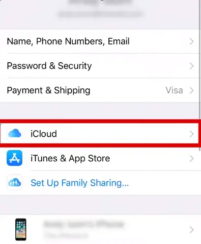 Delete Photos From iCloud In iPhone or iPad