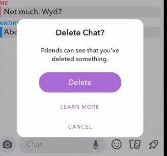 Delete Snapchat Messages/Snaps