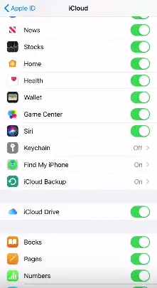 iCloud app backup