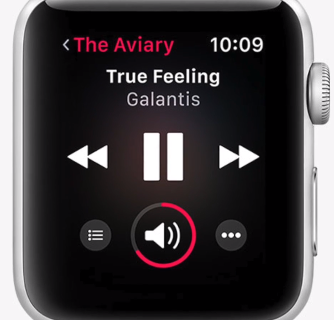 apple watch spotify download